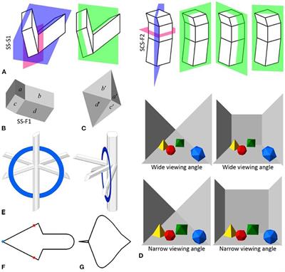 Commentary: Rectangularity is stronger than symmetry in interpreting 2D pictures as 3D objects